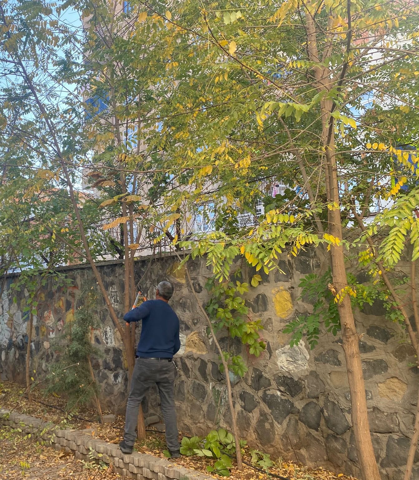 Veli Seminerleri ve Uygulamaları